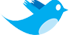 Twitter Feed