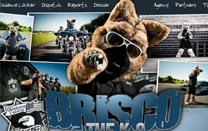 Brisco K9