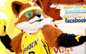 Volt The Fox